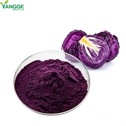 What is red cabbage powder E163 used for
